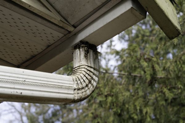 Cost of Roof Drain Replacement in Tacoma
